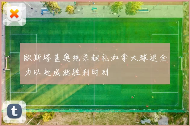 欧斯塔基奥绝杀献礼加拿大球迷全力以赴成就胜利时刻
